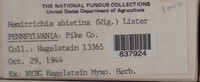 Image Associated With the Occurence